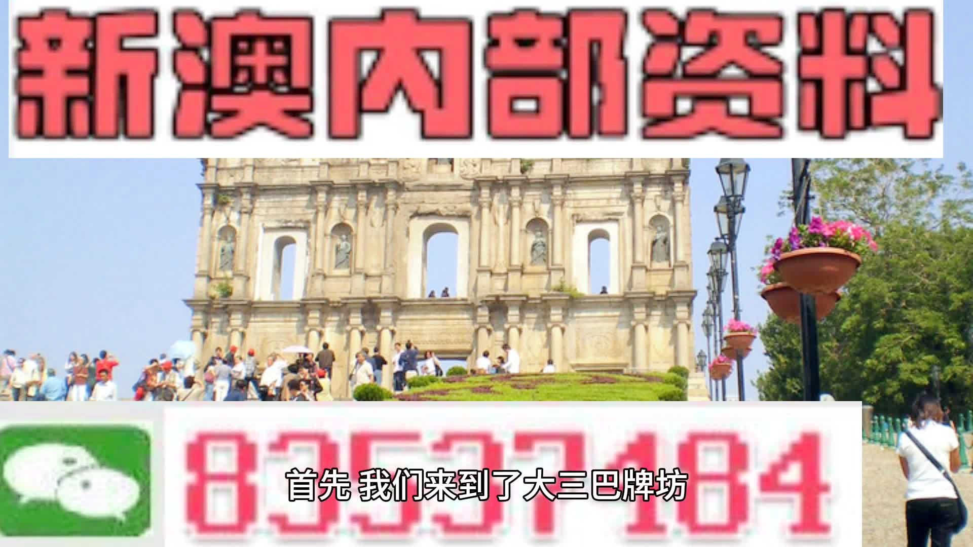 新澳2024正版资料免费公开|全面释义解释落实