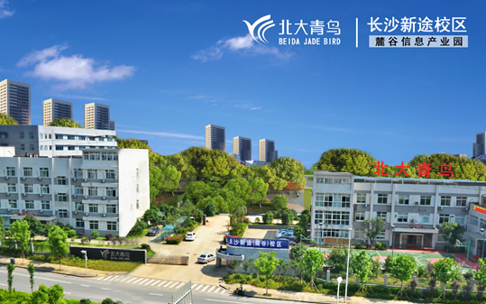 广东拓途建设有限公司，塑造未来的建筑力量