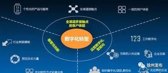 江苏金孔雀网络科技，引领数字化转型的新力量