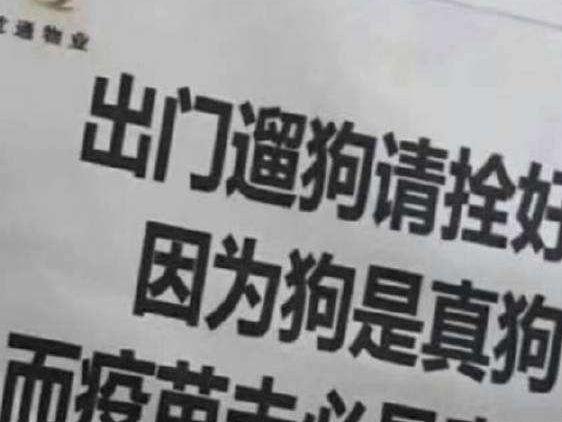 打完狂犬疫苗八个月又被咬，理解与应对