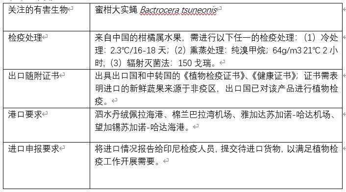 关于房产税的申报流程与注意事项