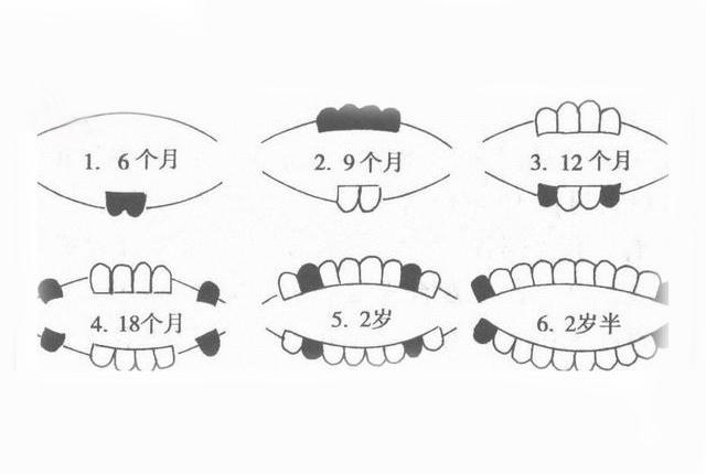几个月的宝宝出牙正常，宝宝牙齿生长的时间与规律