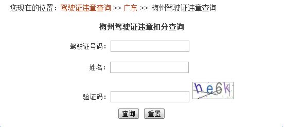 广东省梅州市驾驶证查询指南